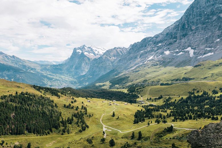 Eine Wiese mit den Alpen im Hintergrund.