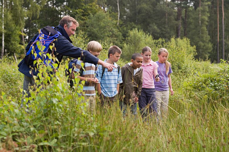 Ein Mann zeigt Kindern etwas im Gras.