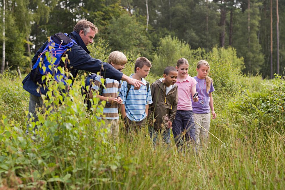 Teacher and pupils at nature reserve Ein Mann zeigt Kindern etwas im Gras.