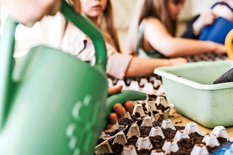 Kinder am Gärtnern.