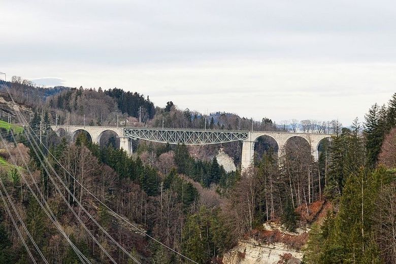 Ausblick auf Wald und das Viadukt.