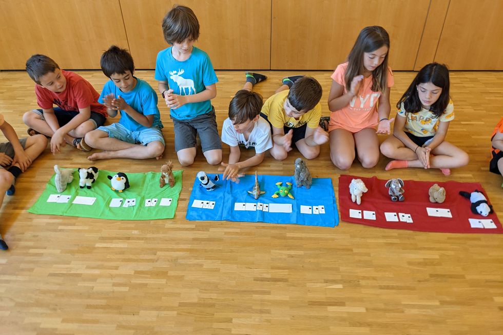 Schulkinder sitzen vor einem Tuch, auf dem Plüschtiere ausgebreitet sind.