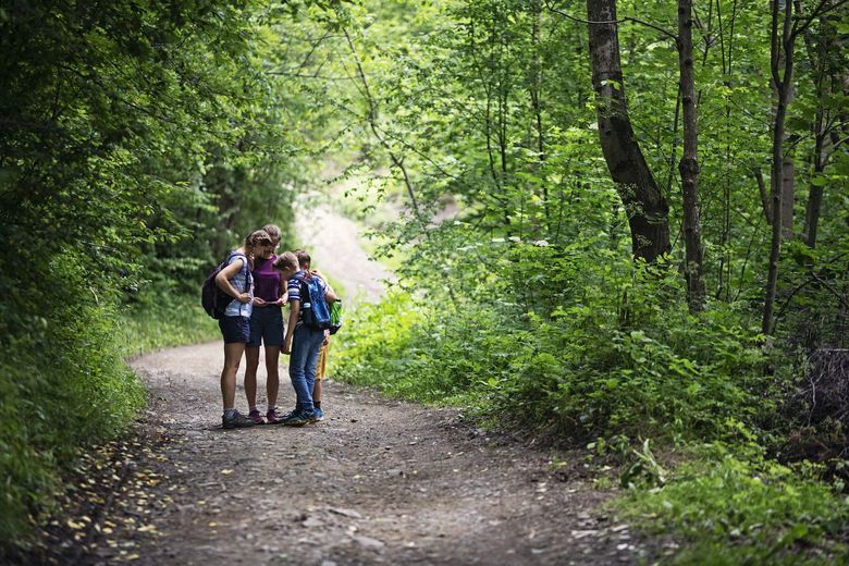 Kinder wandern durch einen Wald.