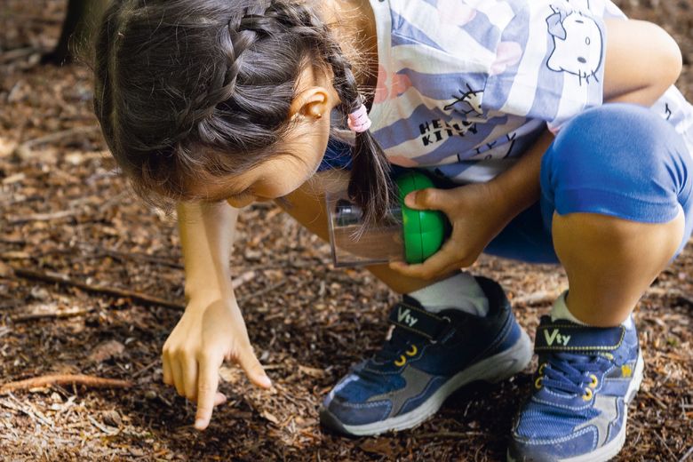 Ein Mädchen entdeckt den Wald.