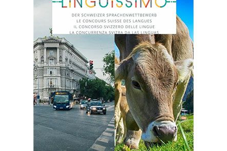 Die aktuelle Ausgabe des Sprachwettbewerbs «Linguissimo» dreht sich um Geräusche.