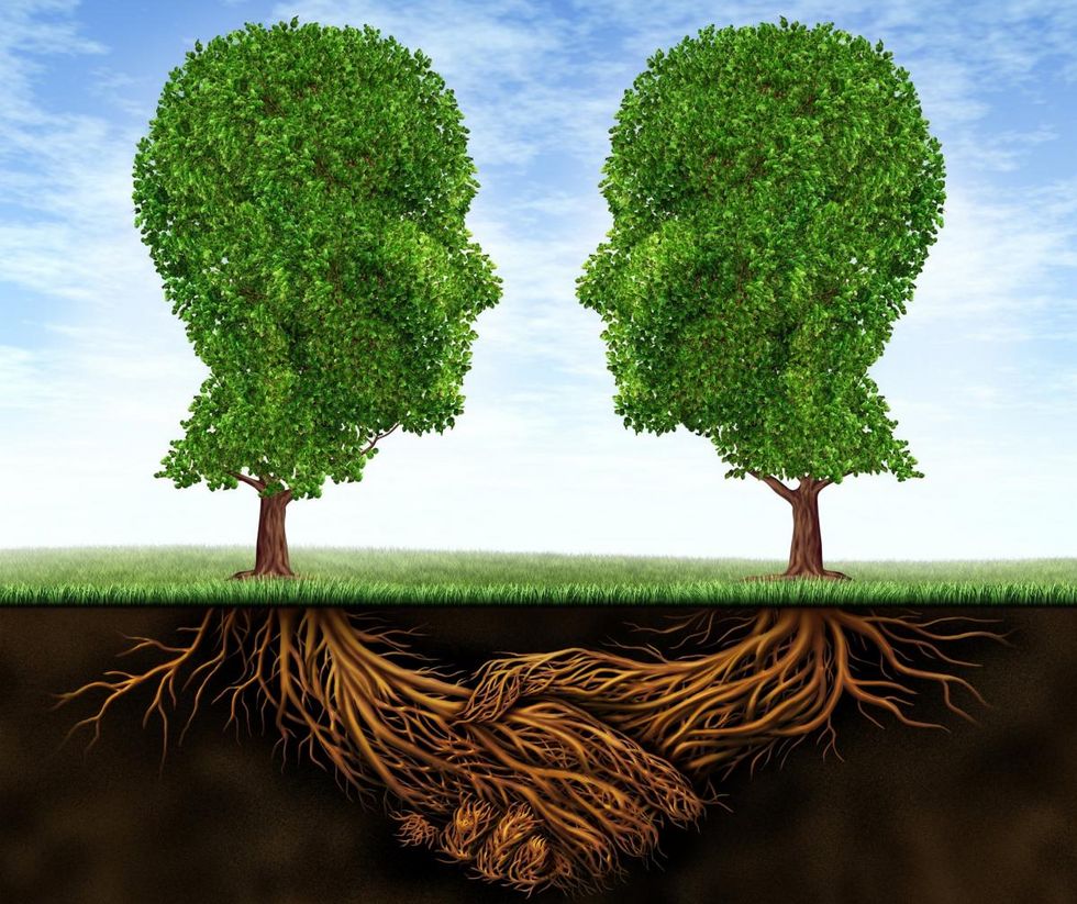 Die Illustration zeigt Bäume in der Form von zwei Köpfen von der Seite. Die Bäume sehen einander an und sollen sinnbildlich für Solidarität stehen