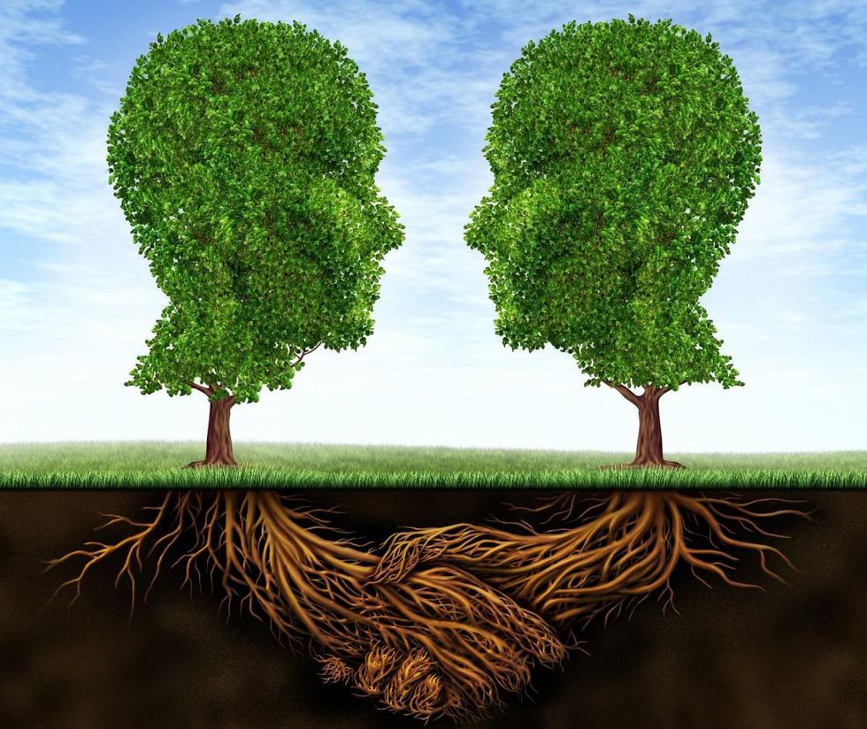 Die Illustration zeigt Bäume in der Form von zwei Köpfen von der Seite. Die Bäume sehen einander an und sollen sinnbildlich für Solidarität stehen