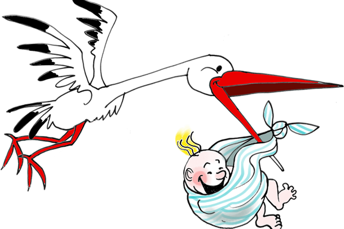 Ein Storch fliegt mit einem Baby durch die Luft.